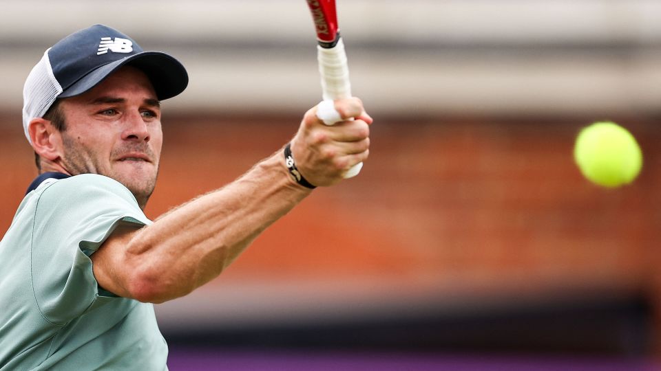 帕尔默的核 帕尔默的核